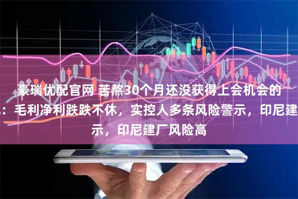 豪瑞优配官网 苦熬30个月还没获得上会机会的阳光焦化:毛利净利跌跌不休,实控人多条风险警示,印尼建厂风险高