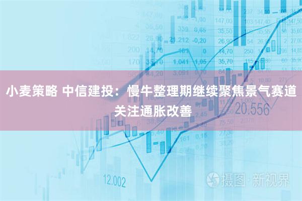 小麦策略 中信建投:慢牛整理期继续聚焦景气赛道 关注通胀改善