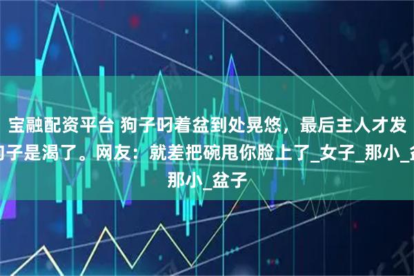 宝融配资平台 狗子叼着盆到处晃悠，最后主人才发现狗子是渴了。网友：就差把碗甩你脸上了_女子_那小_盆子