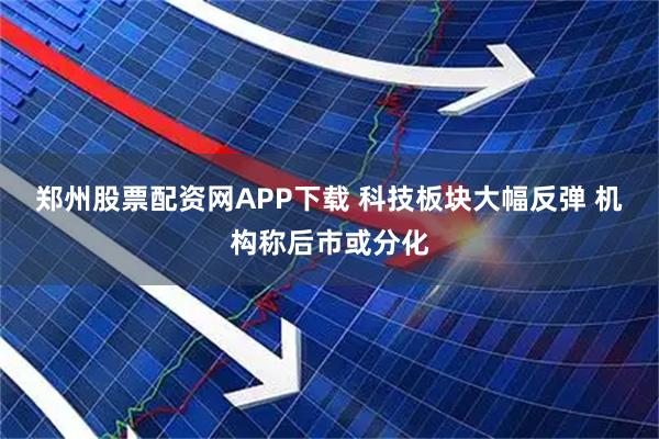 郑州股票配资网APP下载 科技板块大幅反弹 机构称后市或分化